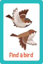 Nature Seek and Find Scavenger Hunt Cards