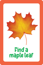 Nature Seek and Find Scavenger Hunt Cards