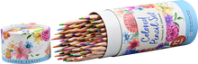 Studio Series Colored Pencils (Set of 72)