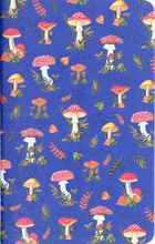 Jotter Mini Notebook Sets: Mushroom