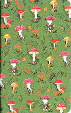 Jotter Mini Notebook Sets: Mushroom