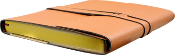 Brown Leather Wrap Journal