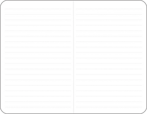 Daffodils Jotter Notebooks