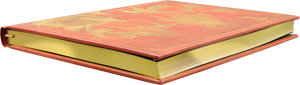 Orange Fairy Journal