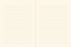 Orange Fairy Journal