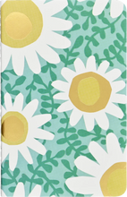 Jotter Mini Notebooks: Daisies