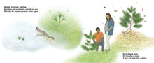 The Pine Cone's Secret: A Life Cycle Poem (Starting Small) by Barnaby