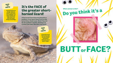 Butt or Face? Volume 3: Super Gross Butts by Lavelle