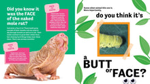 Butt or Face? Volume 3: Super Gross Butts by Lavelle