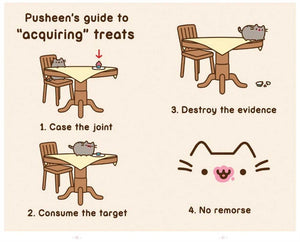 I Am Pusheen the Cat by Belton