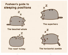 I Am Pusheen the Cat by Belton