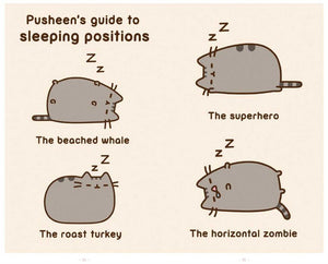 I Am Pusheen the Cat by Belton