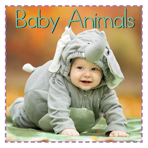 Baby Animals (Baby Firsts) cover image