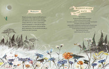 The Green Witch Illustrated: An Enchanting Immersion Into the Magic of Natural Witchcraft by Murphy-Hiscock and Richard