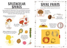 Hello Fall: A sticker activity nature guide By Chakrabarti