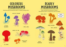 Hello Fall: A sticker activity nature guide By Chakrabarti