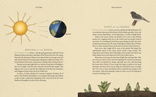 The Wheel of the Year: An Illustrated Guide to Nature's Rhythms by Cook