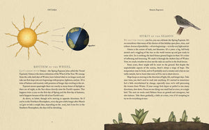 The Wheel of the Year: An Illustrated Guide to Nature's Rhythms by Cook