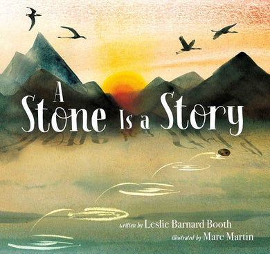 A Stone is a Story by Booth