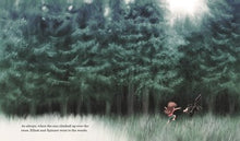 The Wand in the Woods By Booth