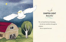 Orris and Timble: Star Stories By DiCamillo
