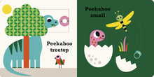 Peekaboo: Dinosaur by Reid & Arrhenius
