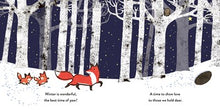 Winter Is Wonderful Padded Board Book: (A Heartwarming Winter Story of Parental Love Featuring a Parent & Child Fox in Rhyming Text - For Babies and Toddlers) (Emma Dodd's Love You Books) By Dodd