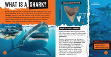 Shark Bites