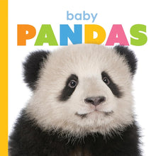 Baby Pandas (Starting Out) cover image