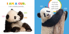 Baby Pandas (Starting Out) by Riggs