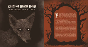 Tales from the Whispering Woods: Stories of Fear and Folklore from the Dark Forest by Powell