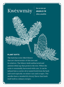 Held by the Land Deck: 45 Ways to Use Indigenous Plants for Healing & Nourishment by Joseph