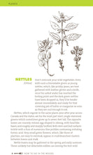 How to Eat in the Woods: A Complete Guide to Foraging, Trapping, Fishing, and Finding Sustenance in the Wild, by Angier & Young