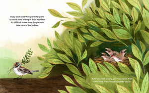 Families of a Feather: A Celebration of Family Diversity by Wexler