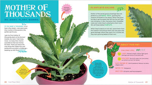 Plant Pets: 27 Cool Houseplants to Grow and Love by Allen