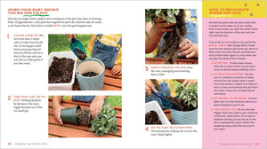 Plant Pets: 27 Cool Houseplants to Grow and Love by Allen