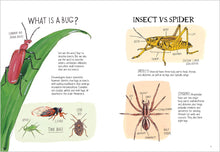 Insect Anatomy: The Curious World of Bees, Beetles, Butterflies, and Bugs by Rothman & Hearst