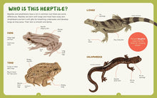 Backpack Explorer: Spotting Snakes and Frogs, and Other Reptiles and Amphibians: What Will You Find?, Editors of Storey Publishing