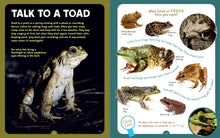 Backpack Explorer: Spotting Snakes and Frogs, and Other Reptiles and Amphibians: What Will You Find?, Editors of Storey Publishing