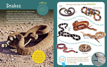 Backpack Explorer: Spotting Snakes and Frogs, and Other Reptiles and Amphibians: What Will You Find?, Editors of Storey Publishing