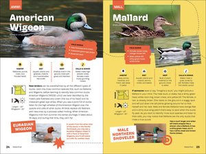 Birds of the Pacific Northwest for Kids by Myers