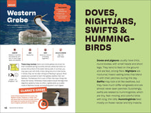 Birds of the Pacific Northwest for Kids by Myers