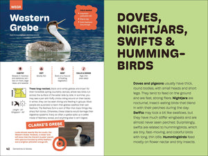 Birds of the Pacific Northwest for Kids by Myers