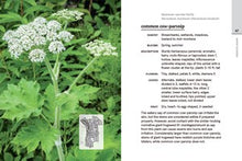 Western Washington and Oregon in Bloom: Find and Identify the 150 Most Common Wildflowers By Kuhlmann