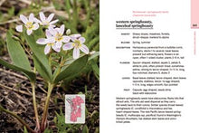 Western Washington and Oregon in Bloom: Find and Identify the 150 Most Common Wildflowers By Kuhlmann