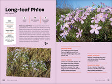 Wildflowers of the Pacific Northwest For Kids (A Timber Press Field Guide) by  Erdely