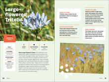 Wildflowers of the Pacific Northwest For Kids (A Timber Press Field Guide) by  Erdely