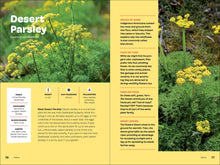 Wildflowers of the Pacific Northwest For Kids (A Timber Press Field Guide) by  Erdely