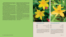 Perennials for the Pacific Northwest: A Comprehensive Guide (Essential Perennials) by Clausen & Christopher