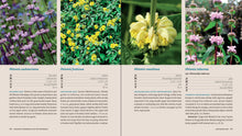 Perennials for the Pacific Northwest: A Comprehensive Guide (Essential Perennials) by Clausen & Christopher